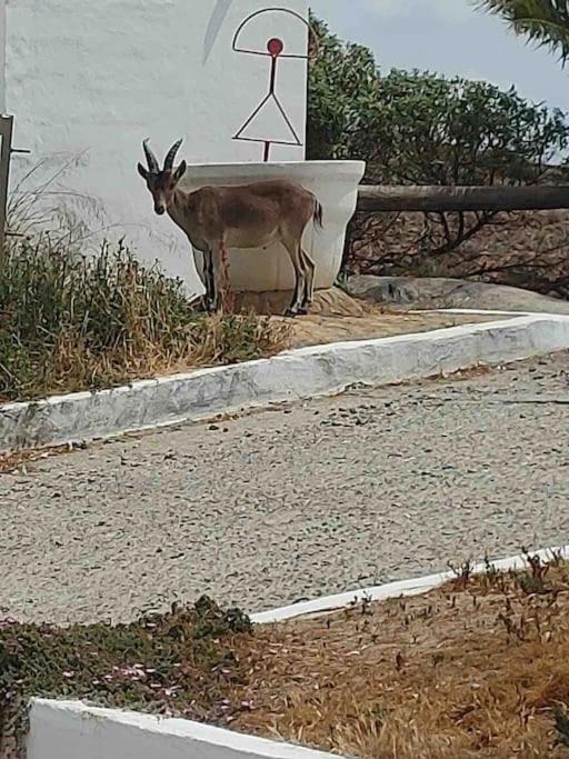 Luz De Mar Daire Almería Dış mekan fotoğraf