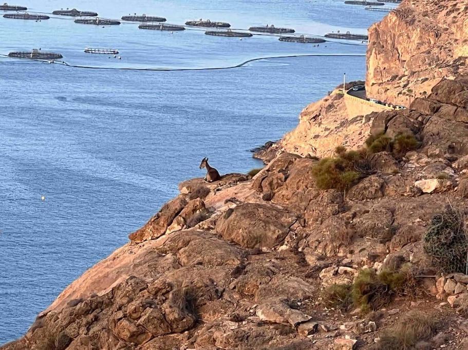 Luz De Mar Daire Almería Dış mekan fotoğraf